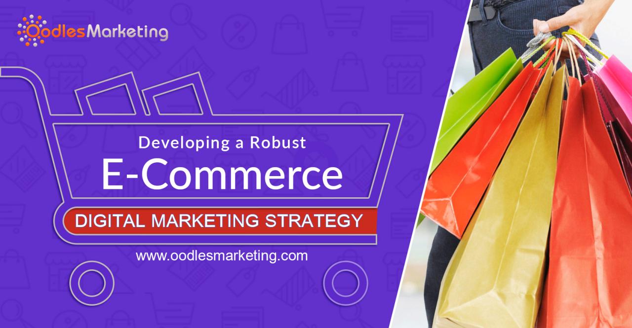 Developing a Robust eCommerce Digital Marketing Strategy - Digital ...